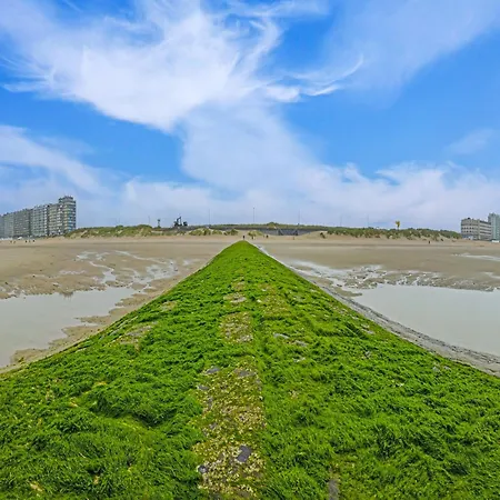 Daire Flat With Sea Views In Belgian Coast, Cleaning Included Middelkerke